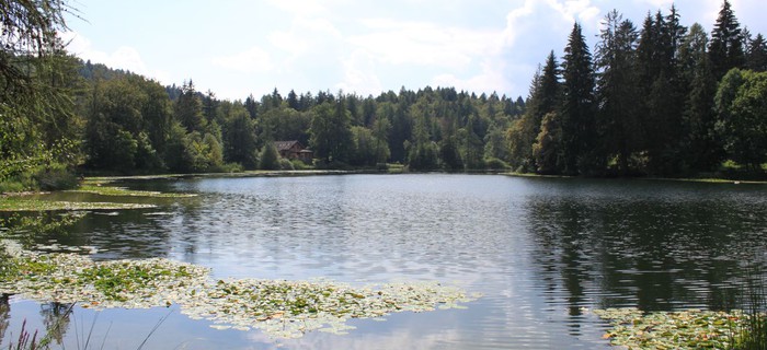 Passeggiata al Lago di Cei